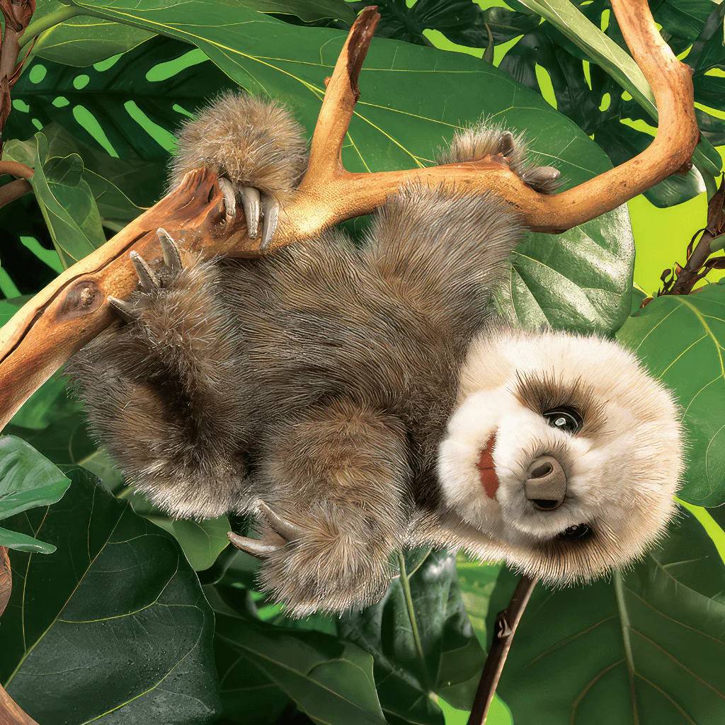 Baby Sloth Hand Puppet Folkmanis - Image 2