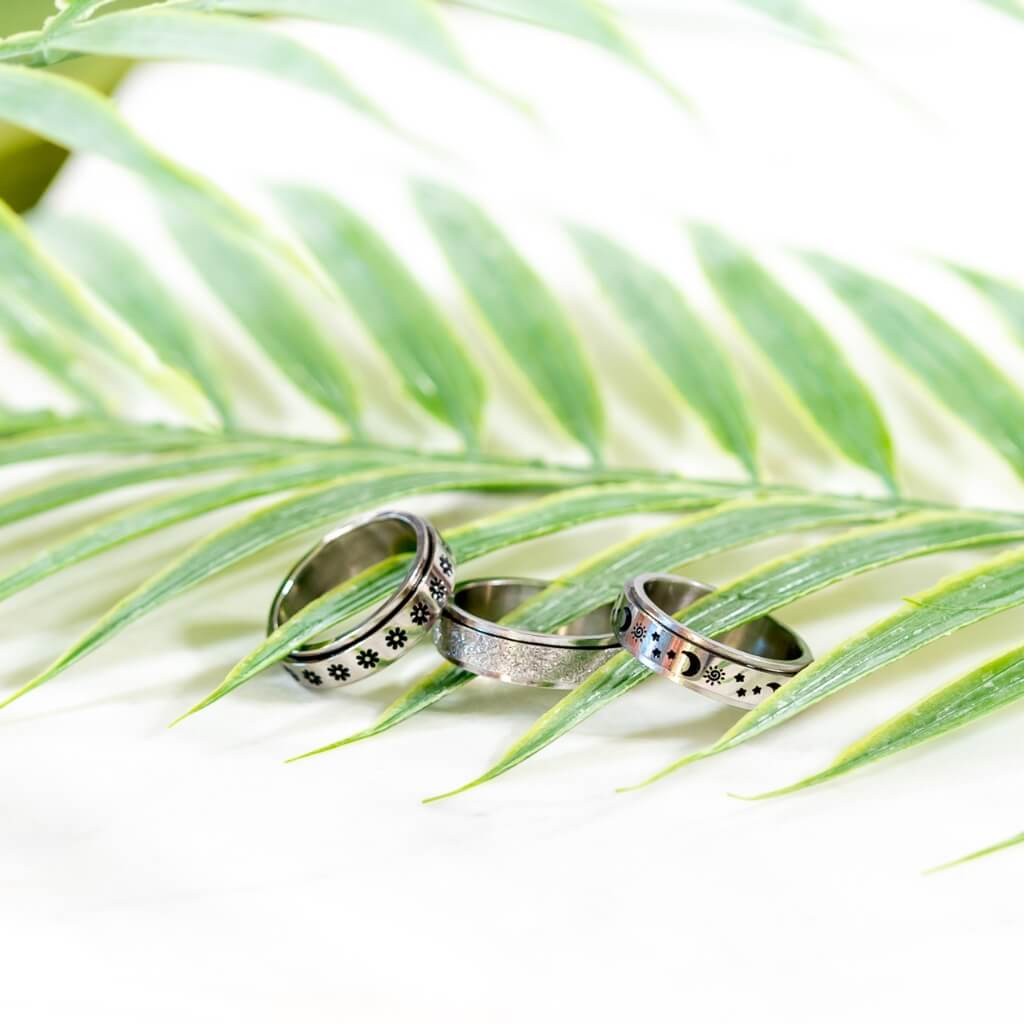 Calming Classics Bundle - Stainless Steel Spinning Rings - Image 6