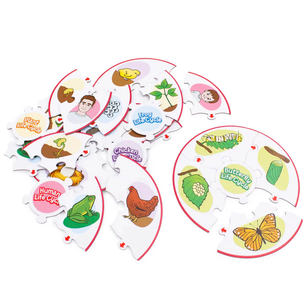Life Cycle Puzzles | Junior Learning - Image 3