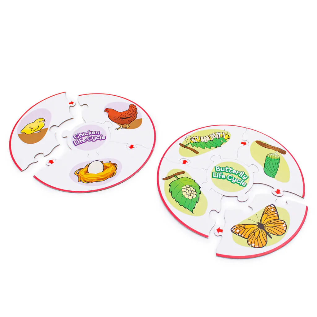 Life Cycle Puzzles | Junior Learning - Image 4
