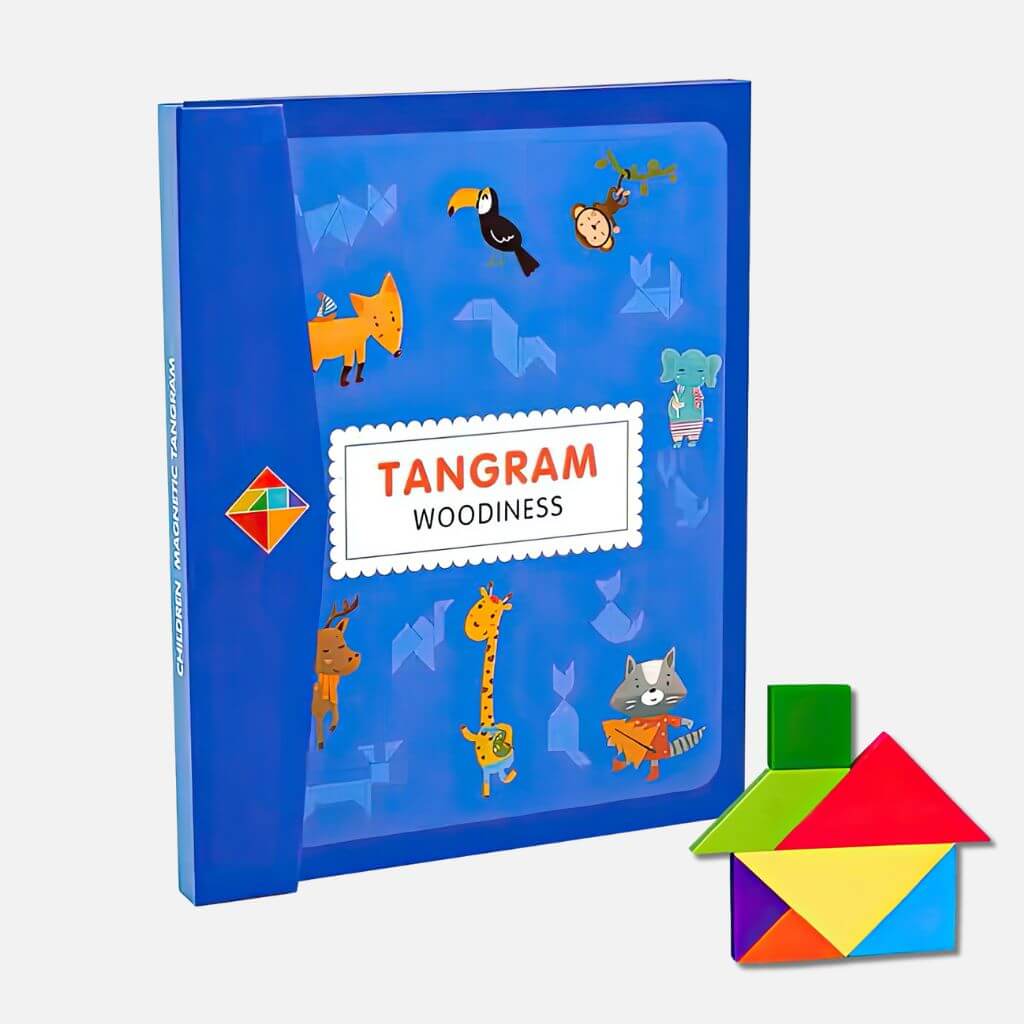Magnetic Tangram Puzzle